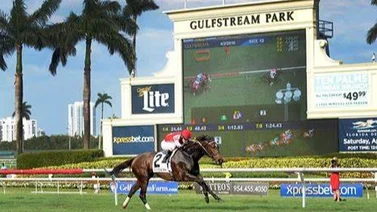 Aquí el Best Bet y los Tips para jugar el Pick Six Gulfstream Park 15-02-2024