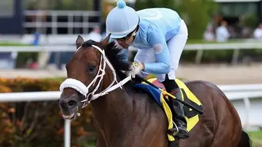 Lluvia de ejemplares campeones aterriza en Arabia Saudita Lluvia de ejemplares campeones aterriza en Arabia Saudita