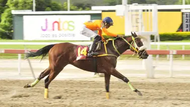 Entrenador, que no gana desde 2021 en La Rinconada, con oportunidad de acabar esa mala racha esta semana Entrenador, que no gana desde 2021 en La Rinconada, con oportunidad de acabar esa mala racha esta semana
