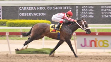 Este ejemplar que participa en las competencias no válidas de La Rinconada fue uno de los mejores ajustes del miércoles 14 de febrero
