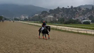 Yegua que puede dar la sorpresa del 5y6 de La Rinconada ajustó "clavo" Yegua que puede dar la sorpresa del 5y6 de La Rinconada ajustó "clavo"