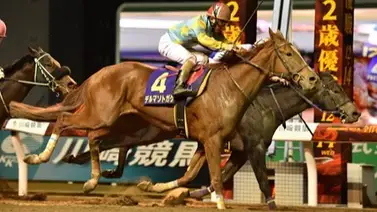 ¡Llegaron los japoneses! 4 ganadores clásicos ya están en Arabia para la Saudi Cup ¡Llegaron los japoneses! 4 ganadores clásicos ya están en Arabia para la Saudi Cup