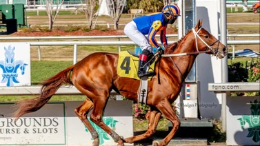 Caballo que costó 1,4 millones de dólares corre el sábado en este Stakes