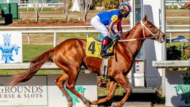 Caballo que costó 1,4 millones de dólares corre el sábado en este Stakes Caballo que costó 1,4 millones de dólares corre el sábado en este Stakes