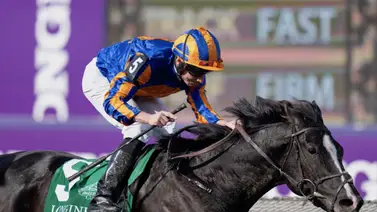 Mejor jinete del mundo suspendido y multado en Estados Unidos por esta razón Mejor jinete del mundo suspendido y multado en Estados Unidos por esta razón