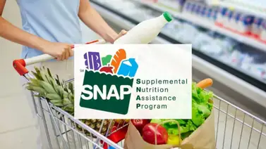 Cupones SNAP Florida: ¿Cómo y cuándo presentar la recertificación de febrero? Cupones SNAP Florida: ¿Cómo y cuándo presentar la recertificación de febrero?