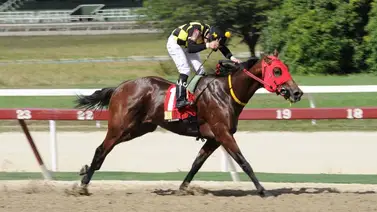 Mira lo que le ocurrió a Ping Pong en su ajuste en La Rinconada Mira lo que le ocurrió a Ping Pong en su ajuste en La Rinconada