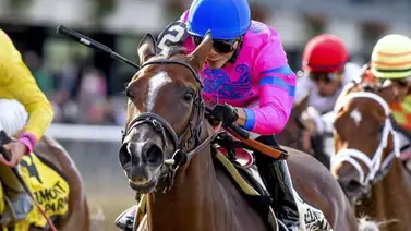 ¡Última hora! Suspendida entrenadora campeona en Nueva York por uso de esta sustancia prohibida ¡Última hora! Suspendida entrenadora campeona en Nueva York por uso de esta sustancia prohibida