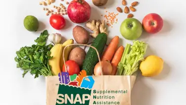 SNAP en Florida: ¿Cuál es el monto del beneficio y cuándo lo entregan? SNAP en Florida: ¿Cuál es el monto del beneficio y cuándo lo entregan?