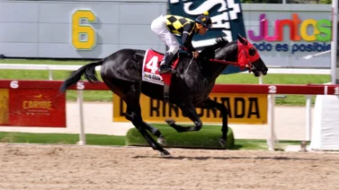 Datos de Última Hora para el Hipódromo La Rinconada. Reunión 06. 18-02-2024
