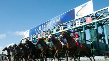 Así quedaron los resultados de las carreras Gulfstream Park 17-02-2024 Así quedaron los resultados de las carreras Gulfstream Park 17-02-2024