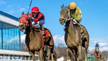 ¡Final de infarto! Jockey venezolano gana su primer Stakes del año en Estados Unidos