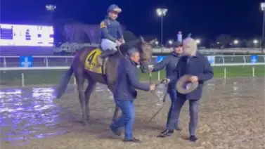 Esta será la próxima carrera de Sierra Leone antes de correr en Kentucky Derby Esta será la próxima carrera de Sierra Leone antes de correr en Kentucky Derby