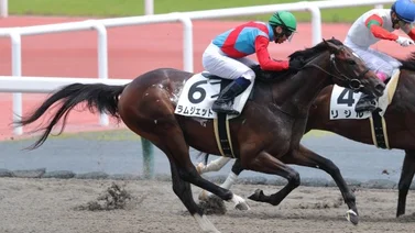 Ramjet es el potro que se anota 30 puntos al Kentucky Derby en Japón