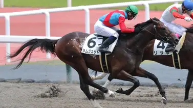Ramjet es el potro que se anota 30 puntos al Kentucky Derby en Japón Ramjet es el potro que se anota 30 puntos al Kentucky Derby en Japón