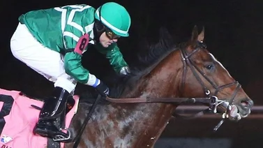 Jockey venezolano triplecoronado vuelve a ganar en este hipódromo de Estados Unidos
