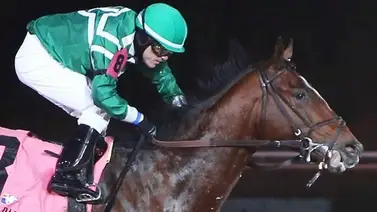 Jockey venezolano triplecoronado vuelve a ganar en este hipódromo de Estados Unidos Jockey venezolano triplecoronado vuelve a ganar en este hipódromo de Estados Unidos