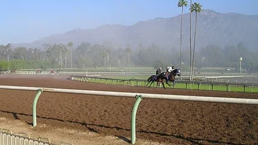 Suspendidas carreras del lunes en este hipódromo de Estados Unidos