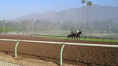 Suspendidas carreras del lunes en este hipódromo de Estados Unidos Suspendidas carreras del lunes en este hipódromo de Estados Unidos