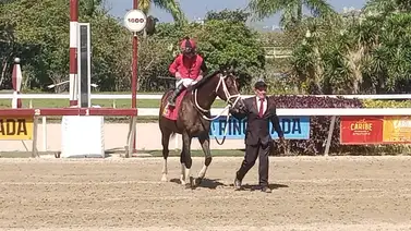 Templario los liquidó al final en el Clásico Hylander (GIII) Templario los liquidó al final en el Clásico Hylander (GIII)