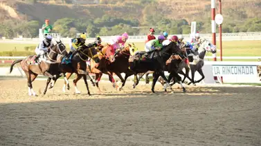 Comisarios del INH suspenden aprendiz en la sexta reunión en La Rinconada Comisarios del INH suspenden aprendiz en la sexta reunión en La Rinconada