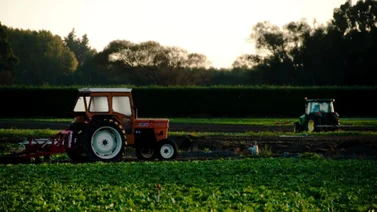 ¡Es real! Producción agrícola aumenta más de 100% en siete años