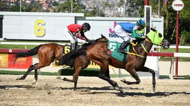 Mira la última vez que había ganado Ingerman Sanoja en La Rinconada Mira la última vez que había ganado Ingerman Sanoja en La Rinconada
