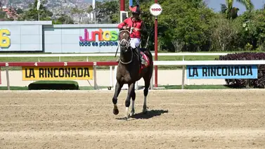 Mira el increíble logro que consiguió Templario este domingo en La Rinconada Mira el increíble logro que consiguió Templario este domingo en La Rinconada