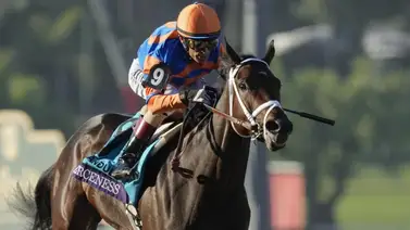 Mejor dosañero de 2023 tiene programada su segunda salida del año y es en este stakes Mejor dosañero de 2023 tiene programada su segunda salida del año y es en este stakes