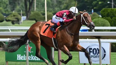 ¡Desgarrador! Muere hoy en Estados Unidos esta gran campeona ¡Desgarrador! Muere hoy en Estados Unidos esta gran campeona