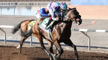 Así va la clasificación al Kentucky Derby 2024 Así va la clasificación al Kentucky Derby 2024