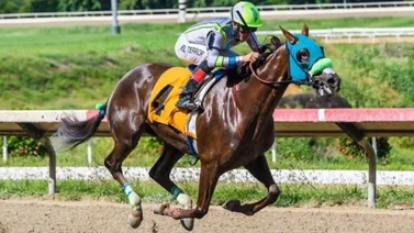 Este es el jockey puertorriqueño más encendido en Estados Unidos