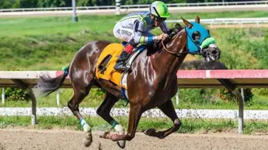Este es el jockey puertorriqueño más encendido en Estados Unidos Este es el jockey puertorriqueño más encendido en Estados Unidos