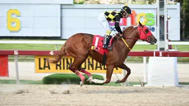 Mira este increíble dato sobre Ángel Castillo Mira este increíble dato sobre Ángel Castillo