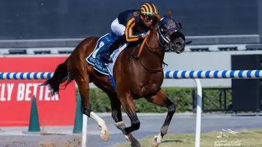Jockey latinoamericano ganador del Eclipse consigue monta para la Saudi Cup Jockey latinoamericano ganador del Eclipse consigue monta para la Saudi Cup