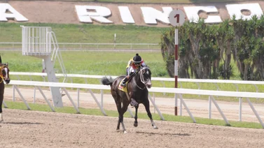 Fast Sensations reaparece en La Rinconada luego de 112 días sin competir