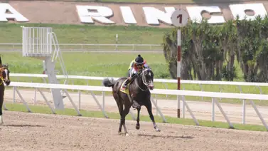 Fast Sensations reaparece en La Rinconada luego de 112 días sin competir Fast Sensations reaparece en La Rinconada luego de 112 días sin competir