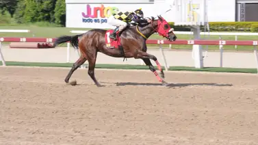 Pompeyo al desquite en la Condicional Especial del domingo en La Rinconada Pompeyo al desquite en la Condicional Especial del domingo en La Rinconada