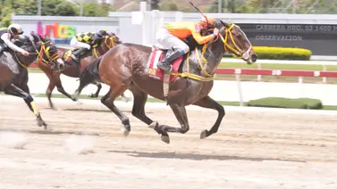César Cachazo reaparece hijo de yegua ganadora clásica del Caribe César Cachazo reaparece hijo de yegua ganadora clásica del Caribe