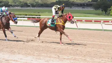 Ejemplar que ganó su última retorna luego de 140 días sin correr en La Rinconada Ejemplar que ganó su última retorna luego de 140 días sin correr en La Rinconada