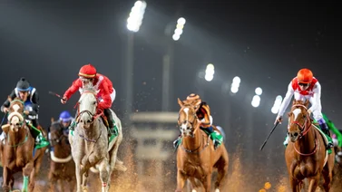 Aquí todo lo que necesita saber sobre la Saudi Cup