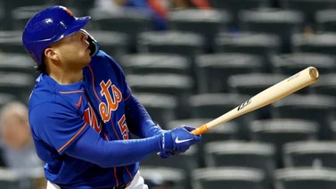 MLB: Esto quiere mejorar Francisco Álvarez en la campaña 2024 (+Video)