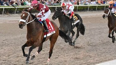 Caballo invicto en tres presentaciones correrá esta prueba clasificatoria al Kentucky Derby
