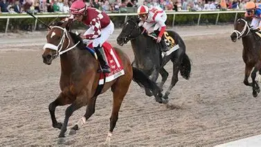 Caballo invicto en tres presentaciones correrá esta prueba clasificatoria al Kentucky Derby Caballo invicto en tres presentaciones correrá esta prueba clasificatoria al Kentucky Derby
