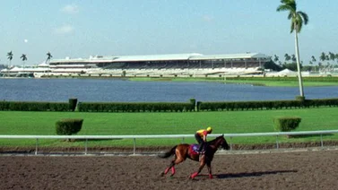 Aquí el Best Bet y los Tips de Gulfstream Park 21-02-2024