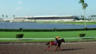 Aquí el Best Bet y los Tips de Gulfstream Park 21-02-2024 Aquí el Best Bet y los Tips de Gulfstream Park 21-02-2024