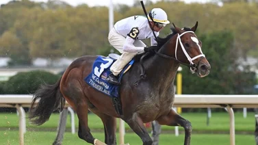 Conoce a los 13 contendores del Rebel Stakes de $1.250.000 este sábado 