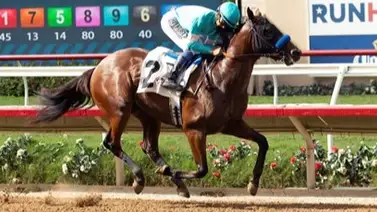 Conoce la monta para la Saudi Cup del jockey latino multicampeón en Arabia Conoce la monta para la Saudi Cup del jockey latino multicampeón en Arabia