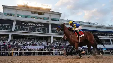 Así quedaron los resultados de las carreras Gulfstream Park 21-02-2024 Así quedaron los resultados de las carreras Gulfstream Park 21-02-2024