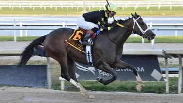 Los hermanos Ortiz arrasan el miércoles en Gulfstream Park